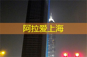 上海新茶工作室：上海新茶工作室：品味天地间的万物真谛，体验饮茶的新发现！