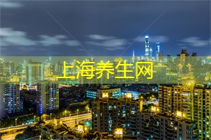 夜晚的东方明珠:上海必游地标 夜晚的东方明珠:上海必游地标
